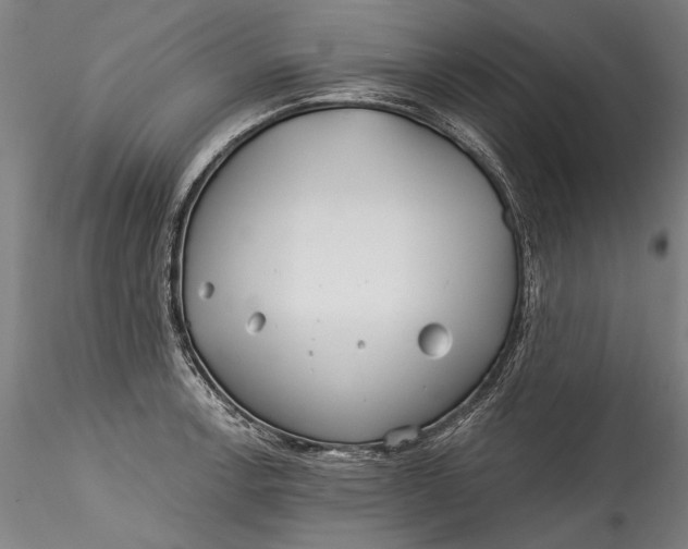 X0000115521138200911271317