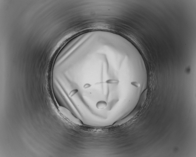 X0000115521139200911271317