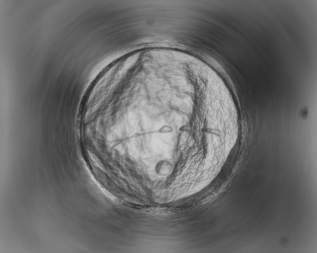 X0000115521141200911271317