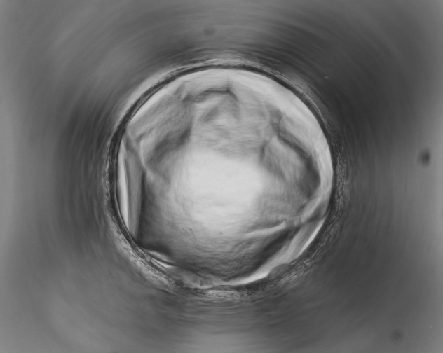 X0000115521142200911271317