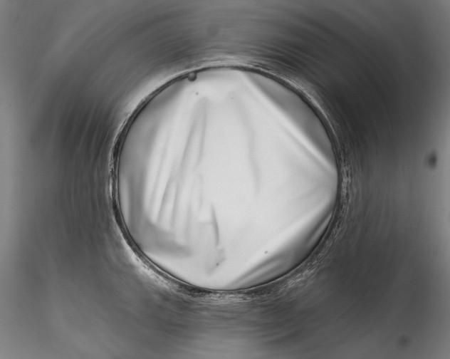 X0000115521143200911271317