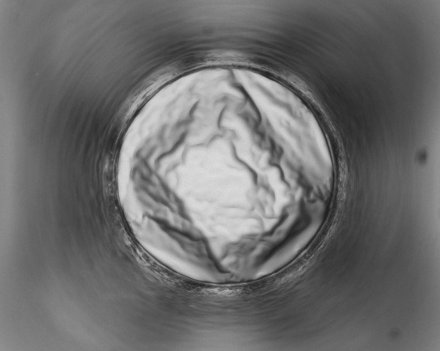 X0000115521145200911271317