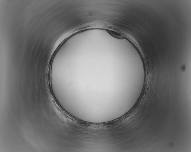 X0000115521146200911271317