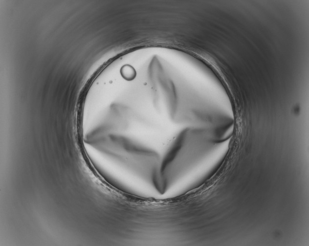 X0000115521147200911271317