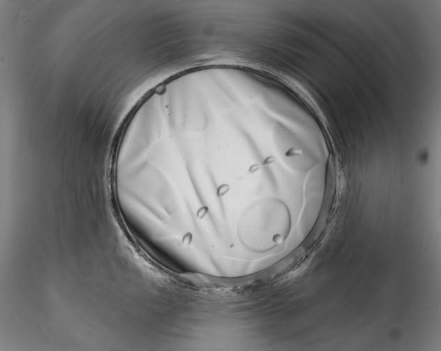 X0000115521149200911271317