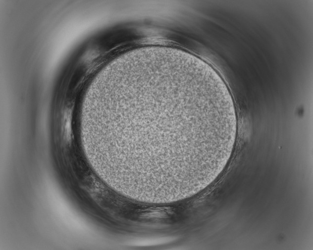 X0000115521150200911271317