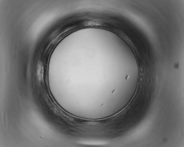 X0000115521151200911271317