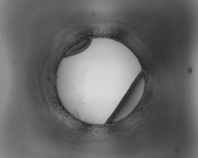 X0000115521153200911271316