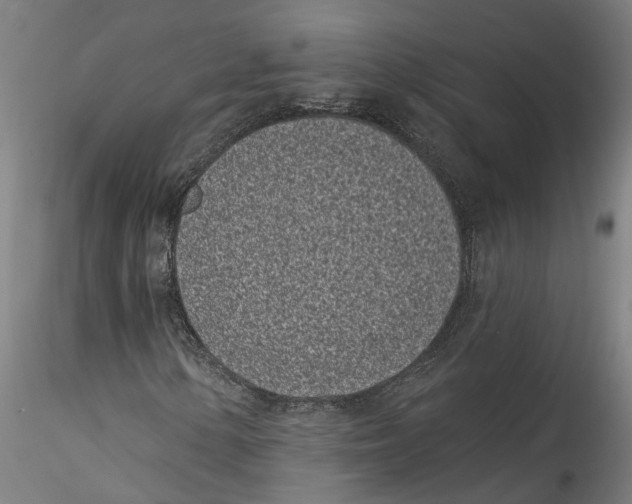 X0000115521154200911271316