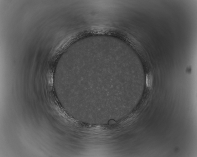 X0000115521155200911271316