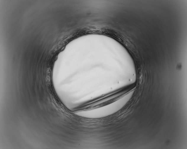 X0000115521156200911271316