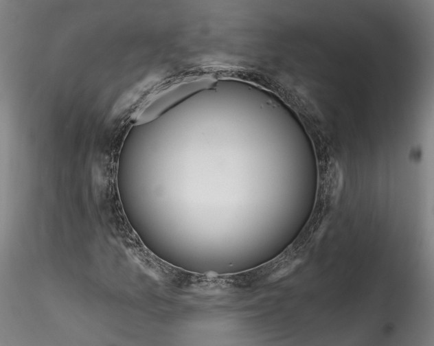 X0000115521157200911271316