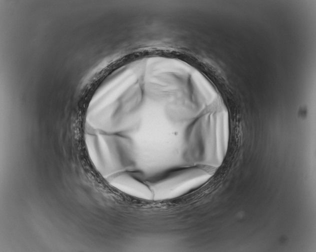 X0000115521159200911271316