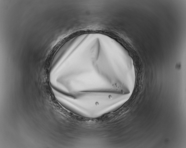 X0000115521160200911271316