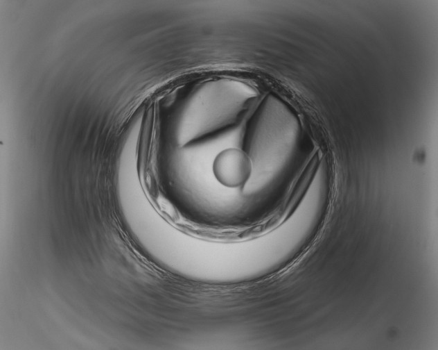 X0000115521161200911271316