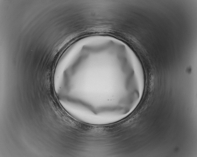 X0000115521162200911271316