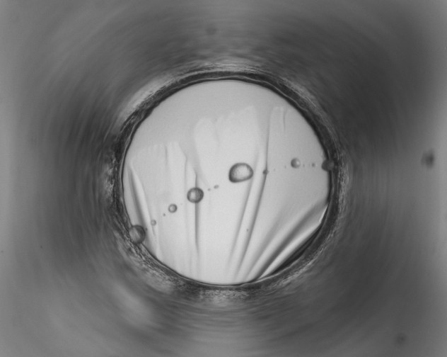 X0000115521163200911271316