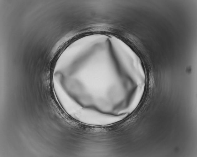 X0000115521164200911271316