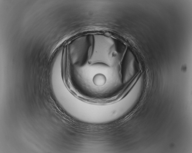 X0000115521165200911271316