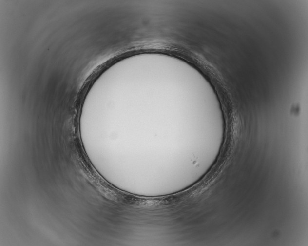 X0000115521166200911271316