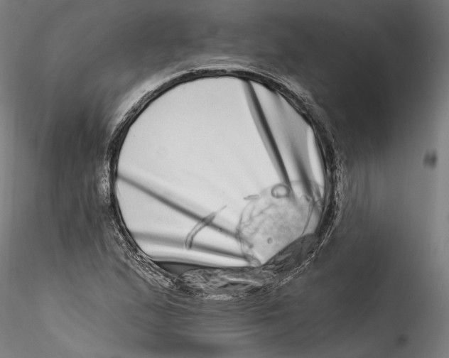 X0000115521167200911271316