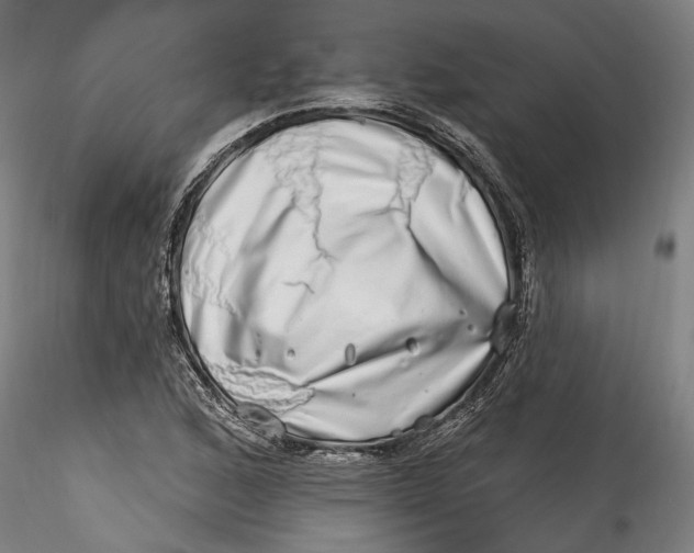 X0000115521168200911271316