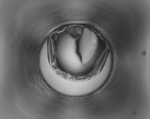 X0000115521169200911271316