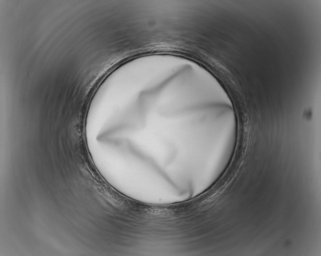 X0000115521170200911271316