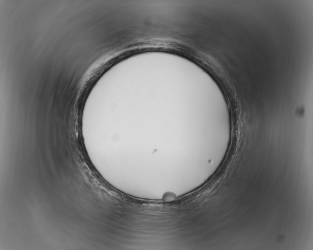 X0000115521172200911271316