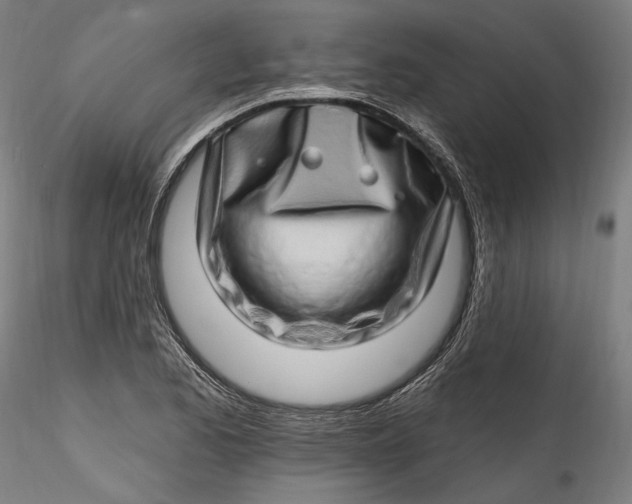 X0000115521173200911271316