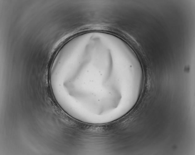 X0000115521174200911271316