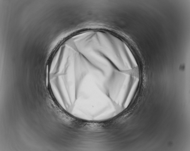 X0000115521175200911271316