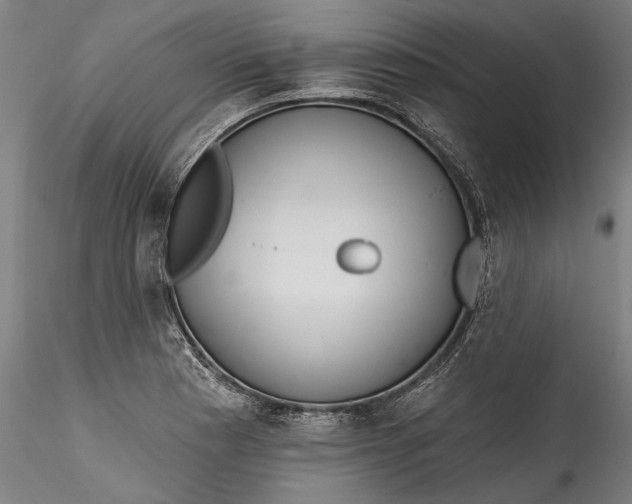 X0000115521177200911271316