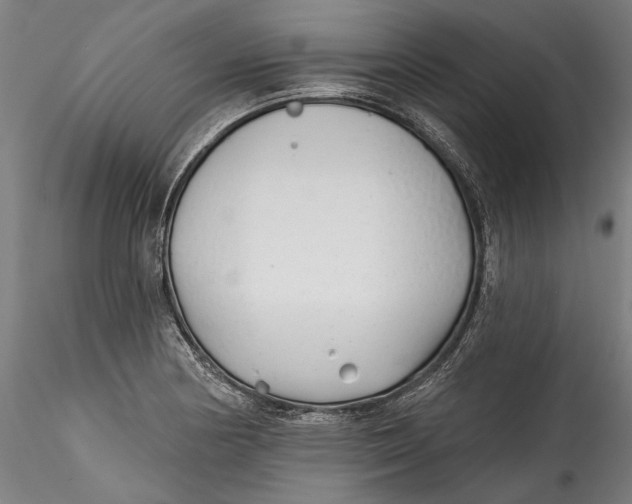 X0000115521178200911271316