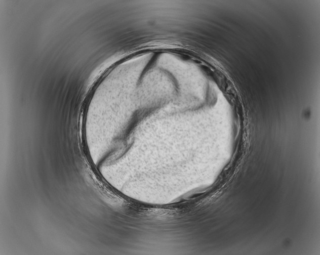 X0000115521179200911271316