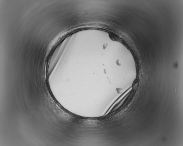 X0000115521180200911271316