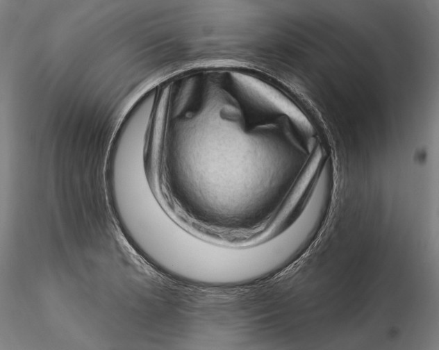 X0000115521181200911271316