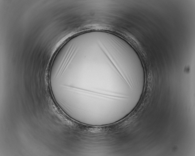 X0000115521182200911271316