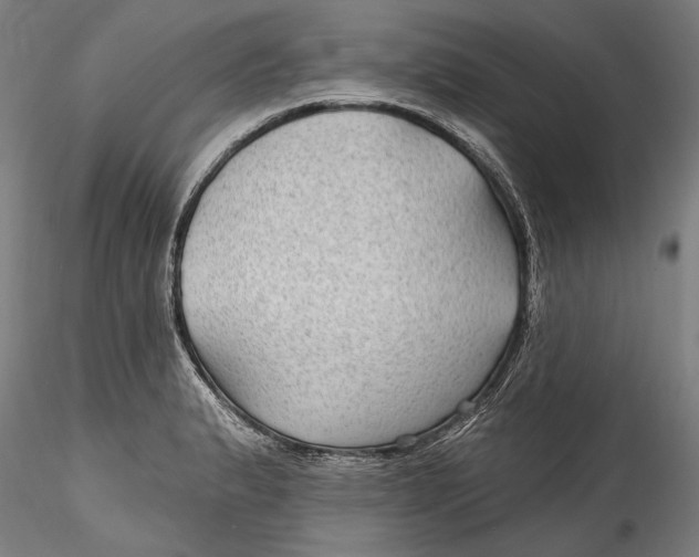 X0000115521183200911271316