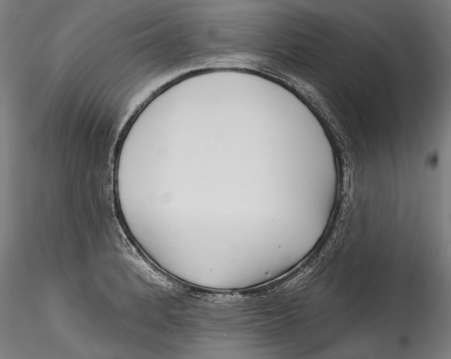 X0000115521184200911271316