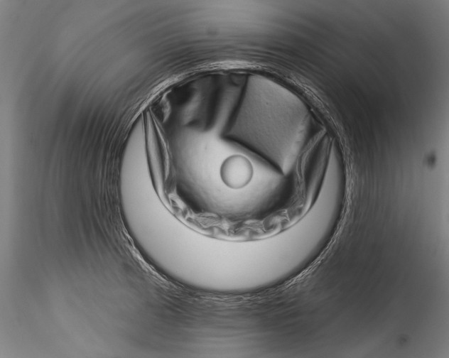 X0000115521185200911271316