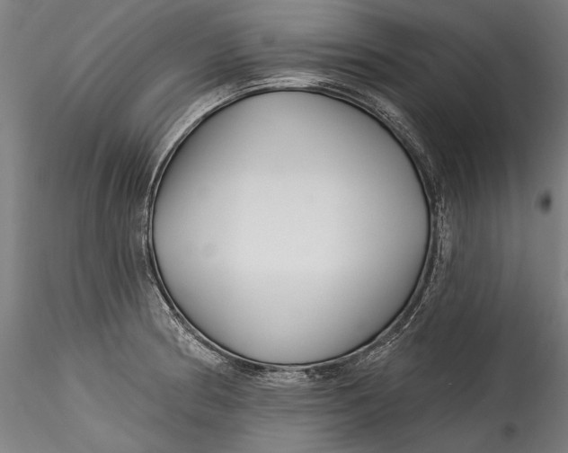 X0000115521186200911271316