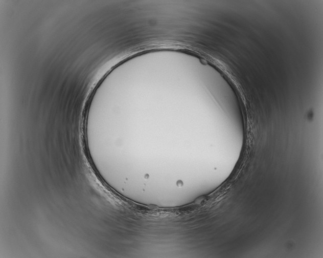 X0000115521187200911271316