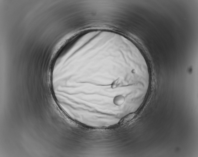 X0000115521188200911271316