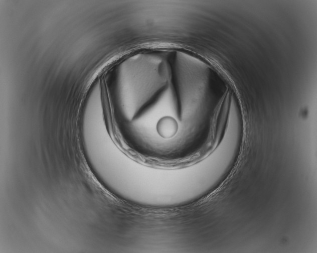 X0000115521189200911271316