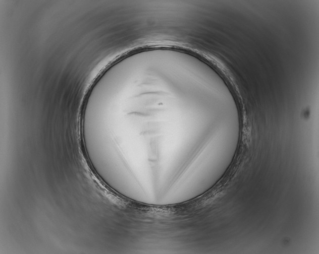 X0000115521191200911271316