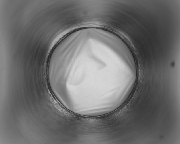 X0000115521192200911271316