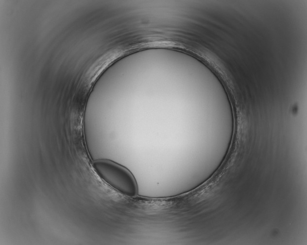 X0000115521193200911271316