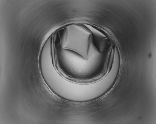 X0000115521196200911271316