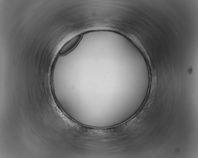 X0000115521197200911271316